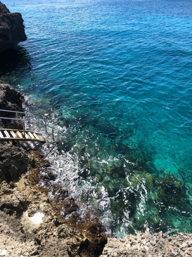 Marazul Dive Resort. 3 Bedroom Seafront House. Dive, Snorkel, Enjoy Amazing Sunsets Westpunt 외부 사진